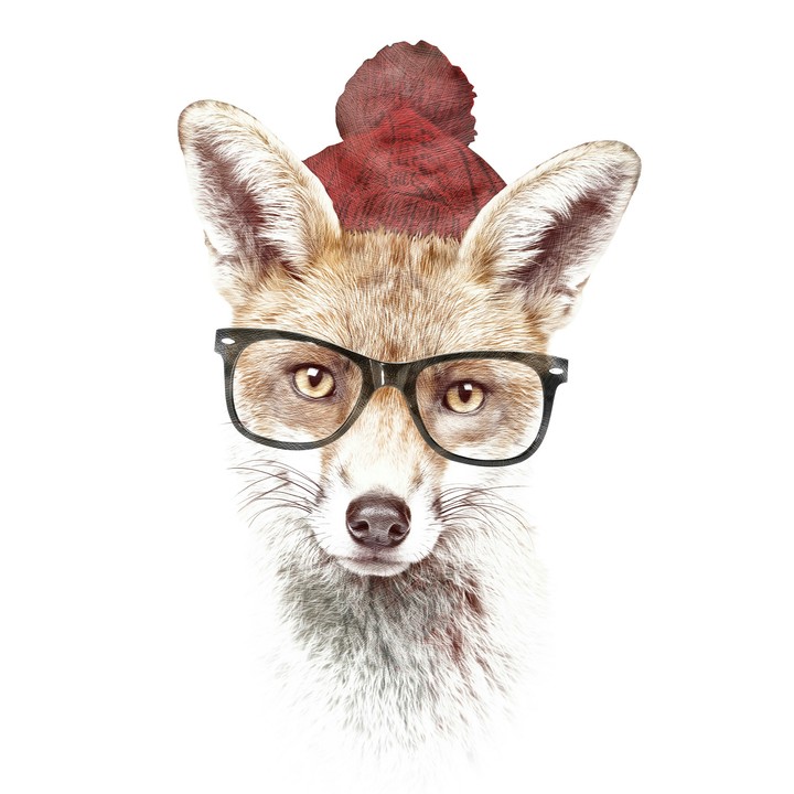 fox