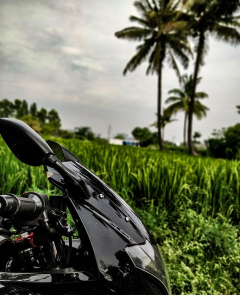 Beast with nature