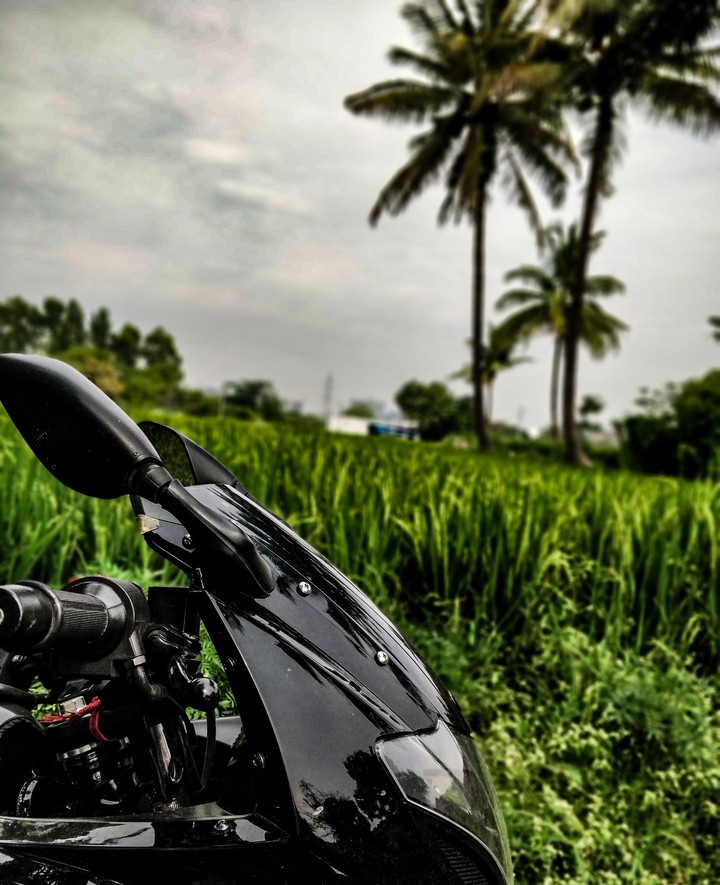 Beast with nature