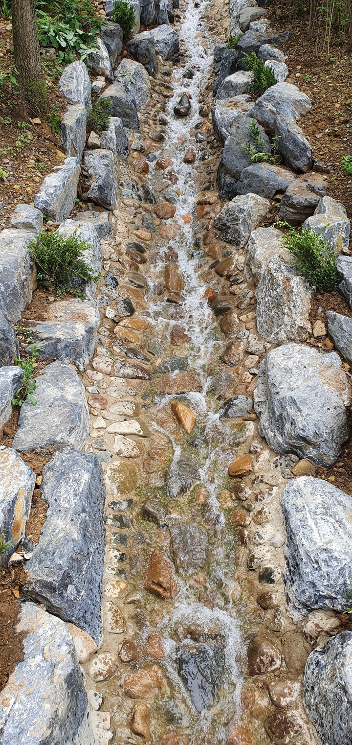 Water