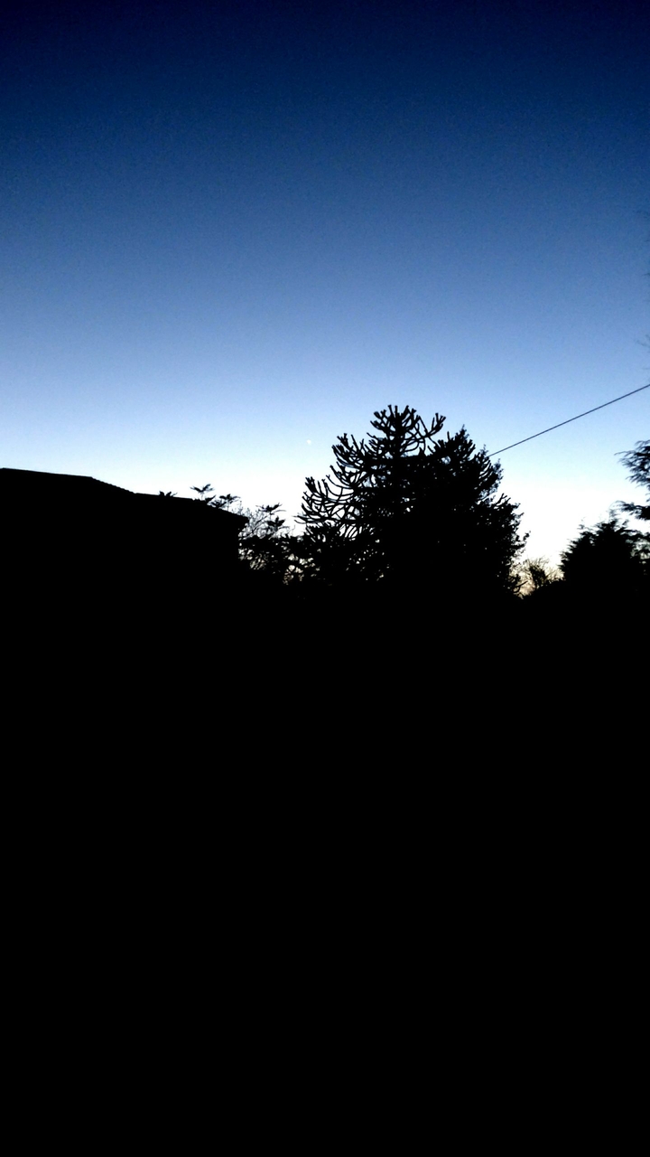 silhouette