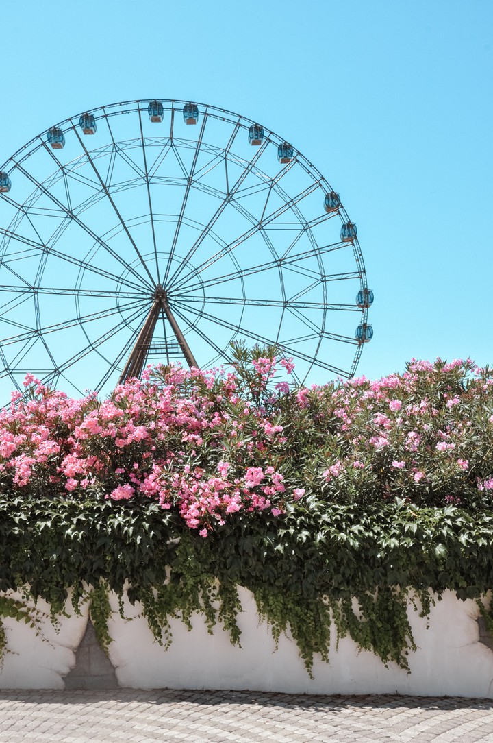 Ferris wheel