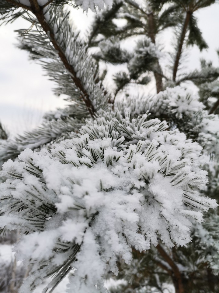 snow