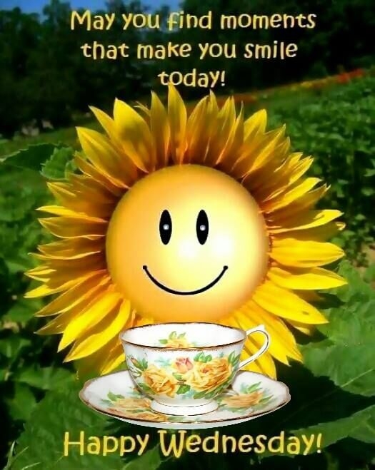 FOR EVERYONE