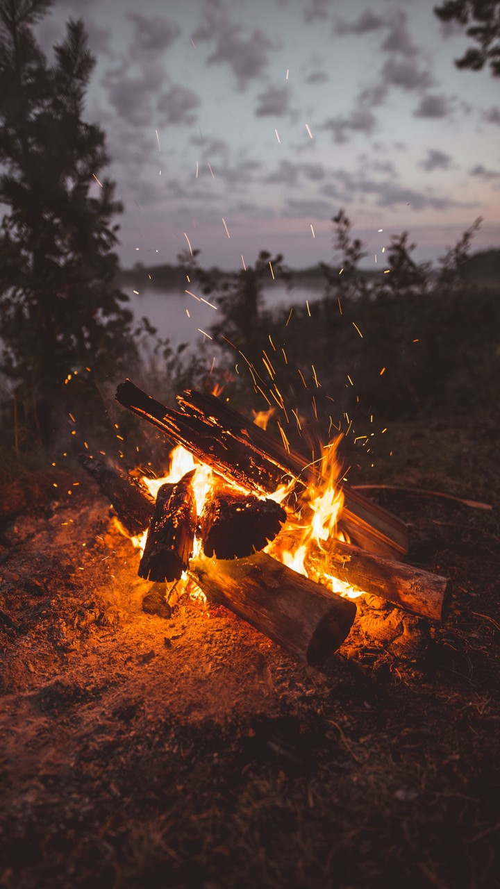 Fire Love