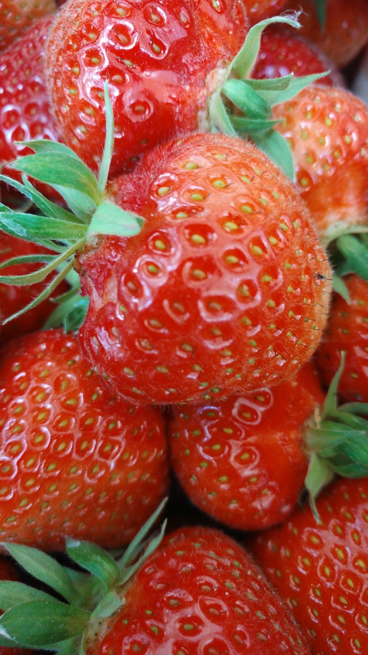 strawberries