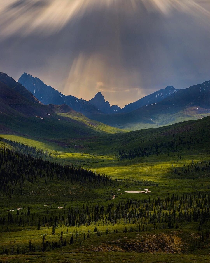 Nature