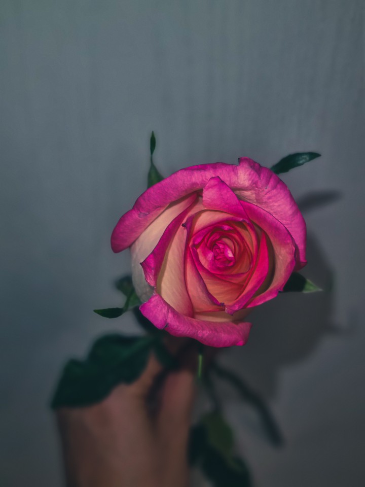 .