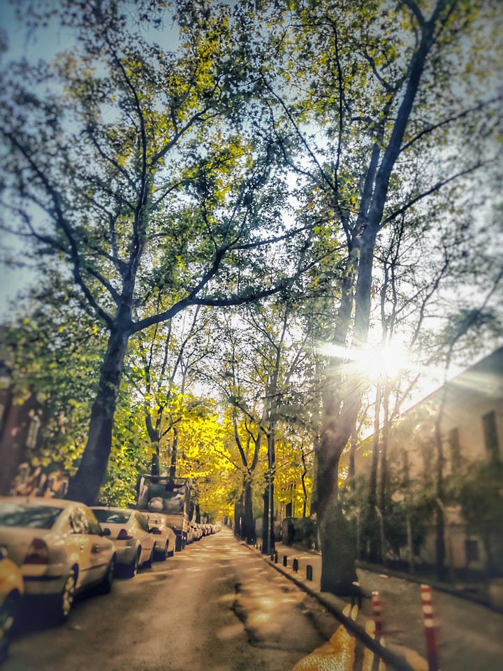 Sunday