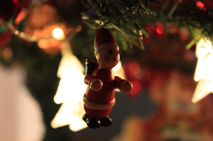 Christmas lights Santa globe