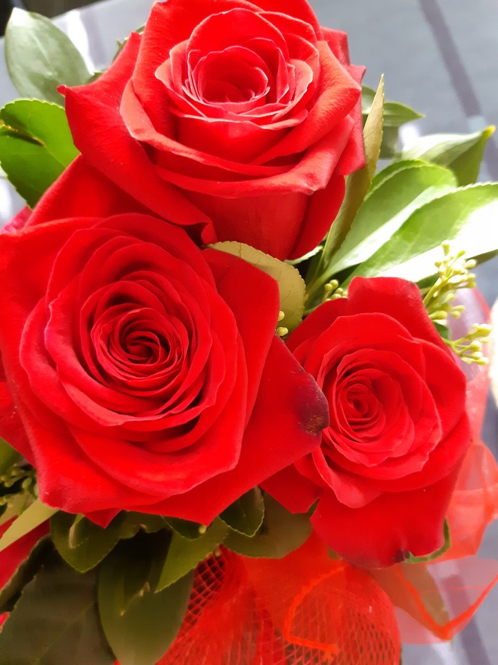 red roses.