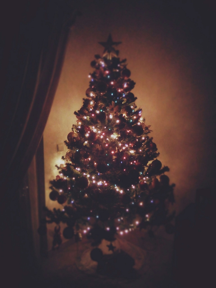 Christmas spirit