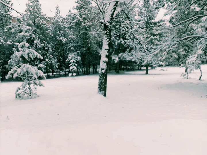 Зимная красота
