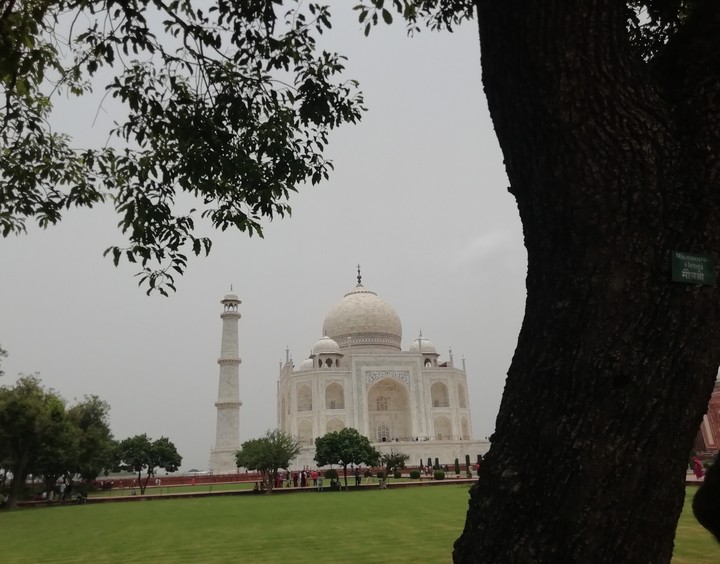 The Seventh Wonder!