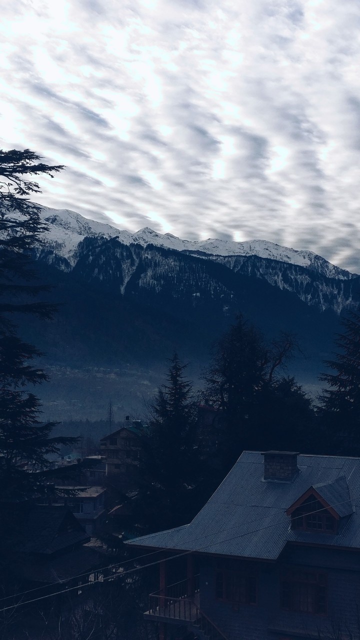 winter wonderland.. 