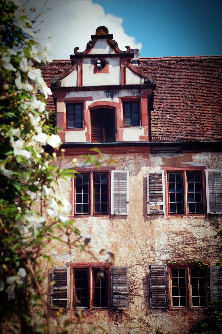 Schöner Verfall