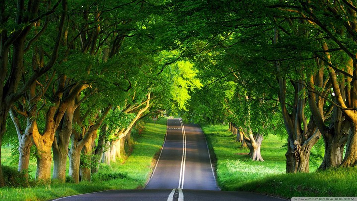green road