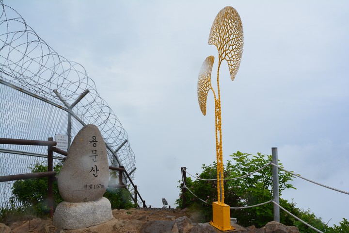 용문산이미지