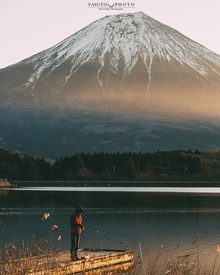 Japan Phu si