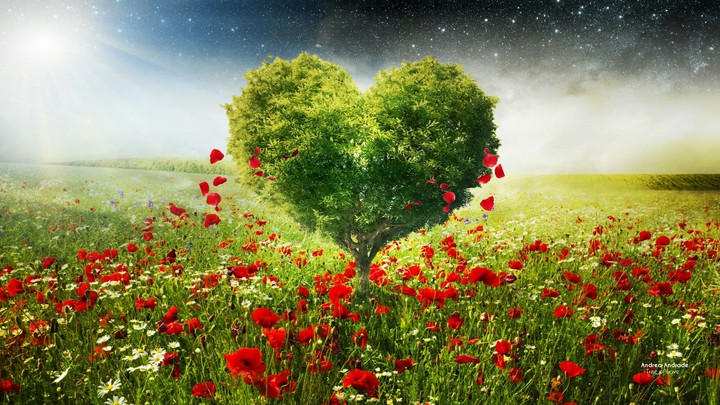 Love