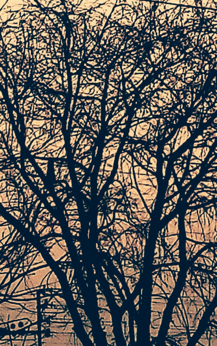 Nature's magic