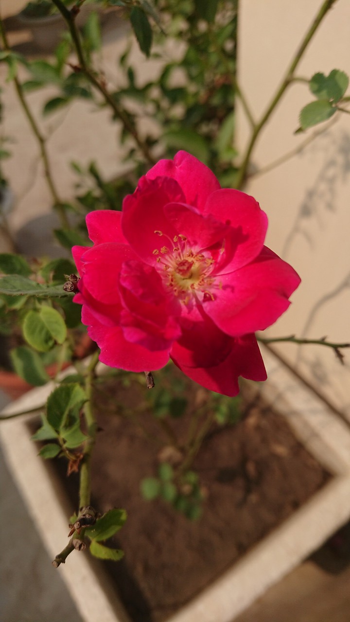 4k HDR