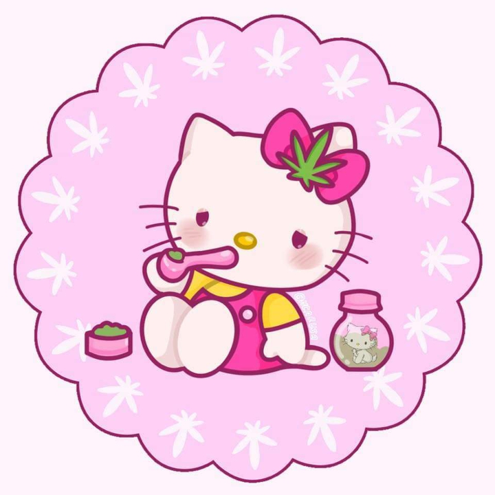 hello Kitty sick