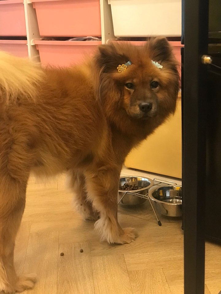 우리 뭉실이