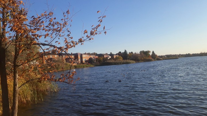 Professors Lake