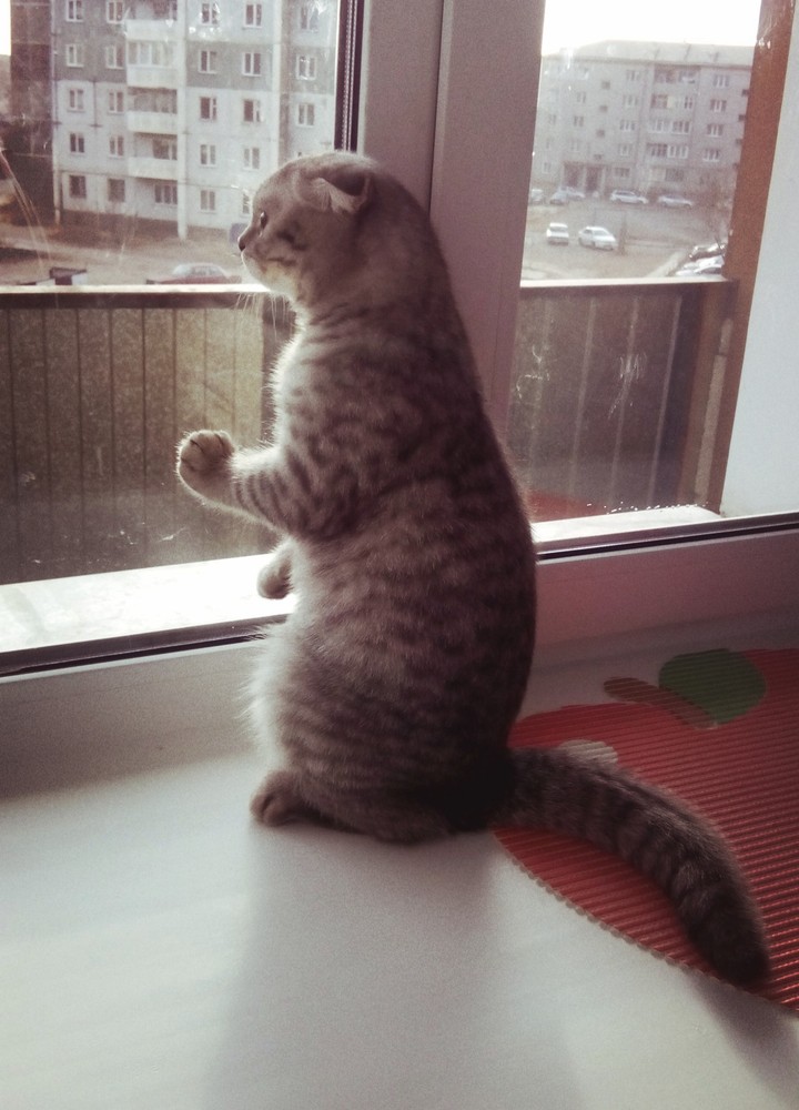 Максим