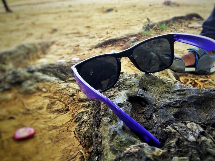 sunglass
