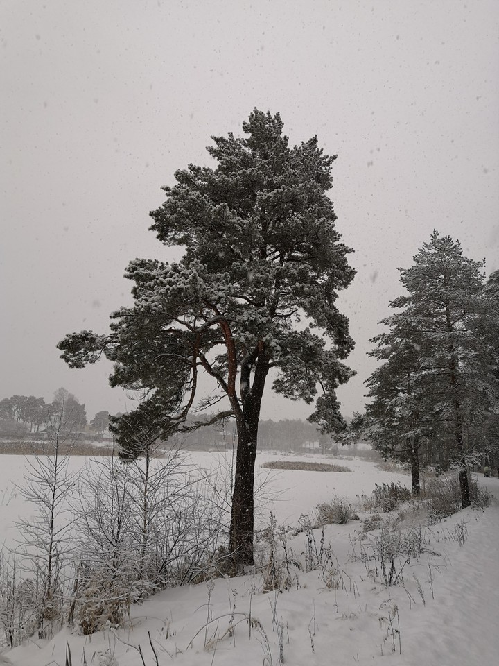 winter