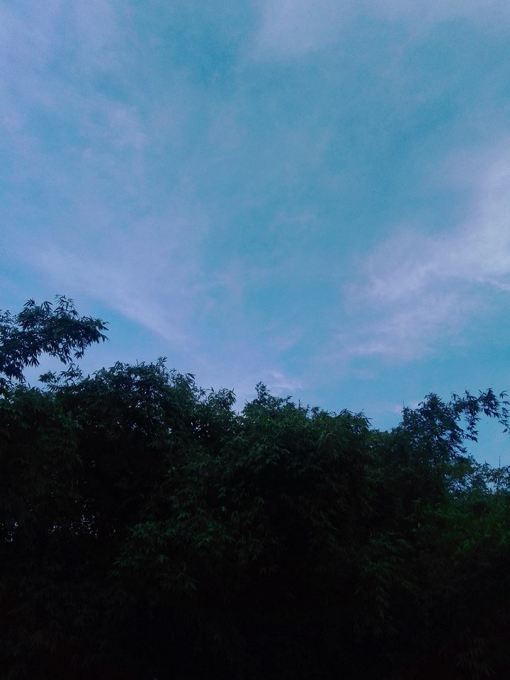 Sky