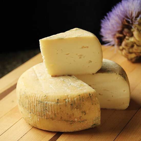 Cheese