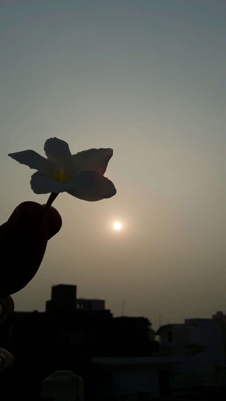 sunshine!