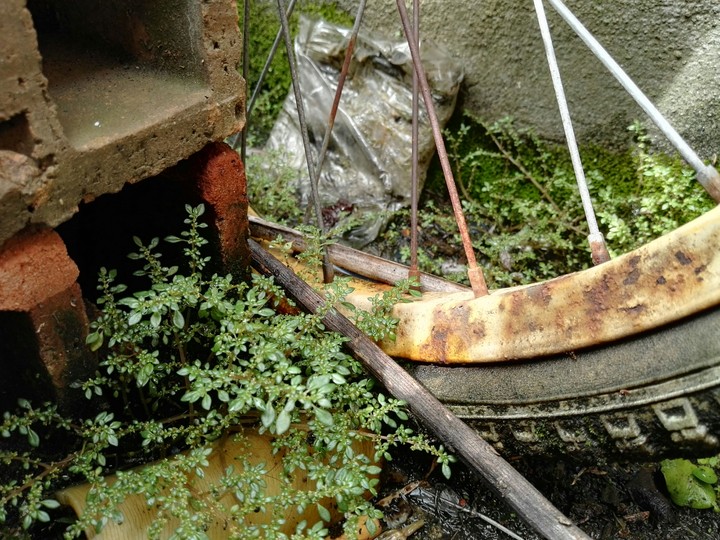 old things