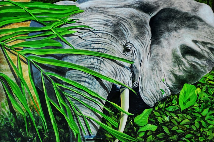 my nikon manual click painting