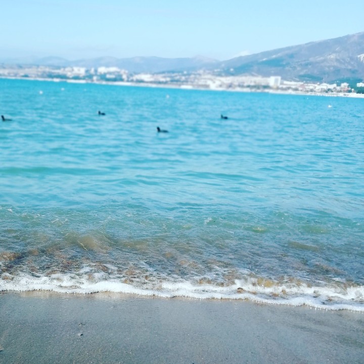 sea