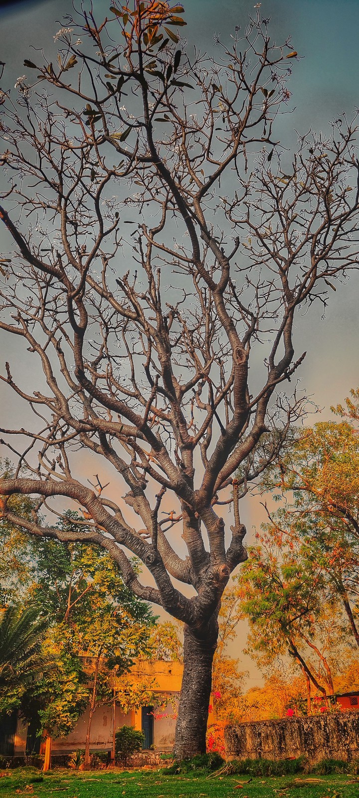 Nature