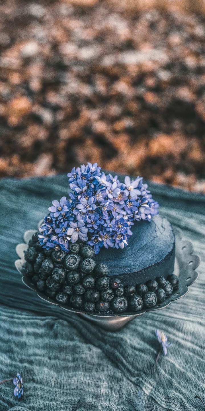 Cake