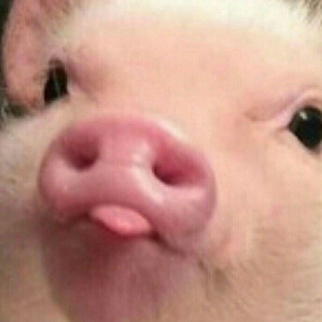 Hello my friends! I missed you •~•