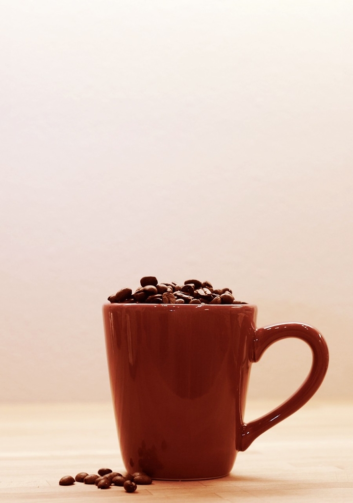 Fresh Cup