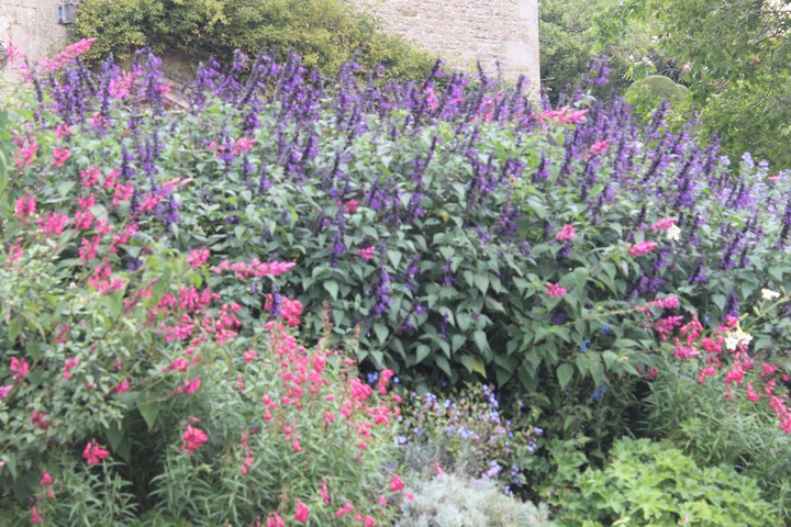 lush borders