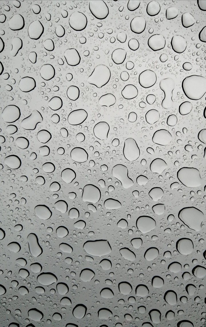 The rain