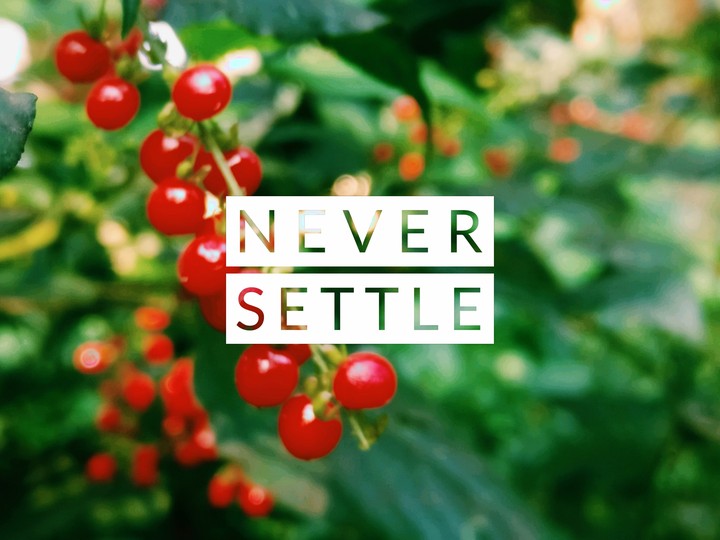 Never Settle