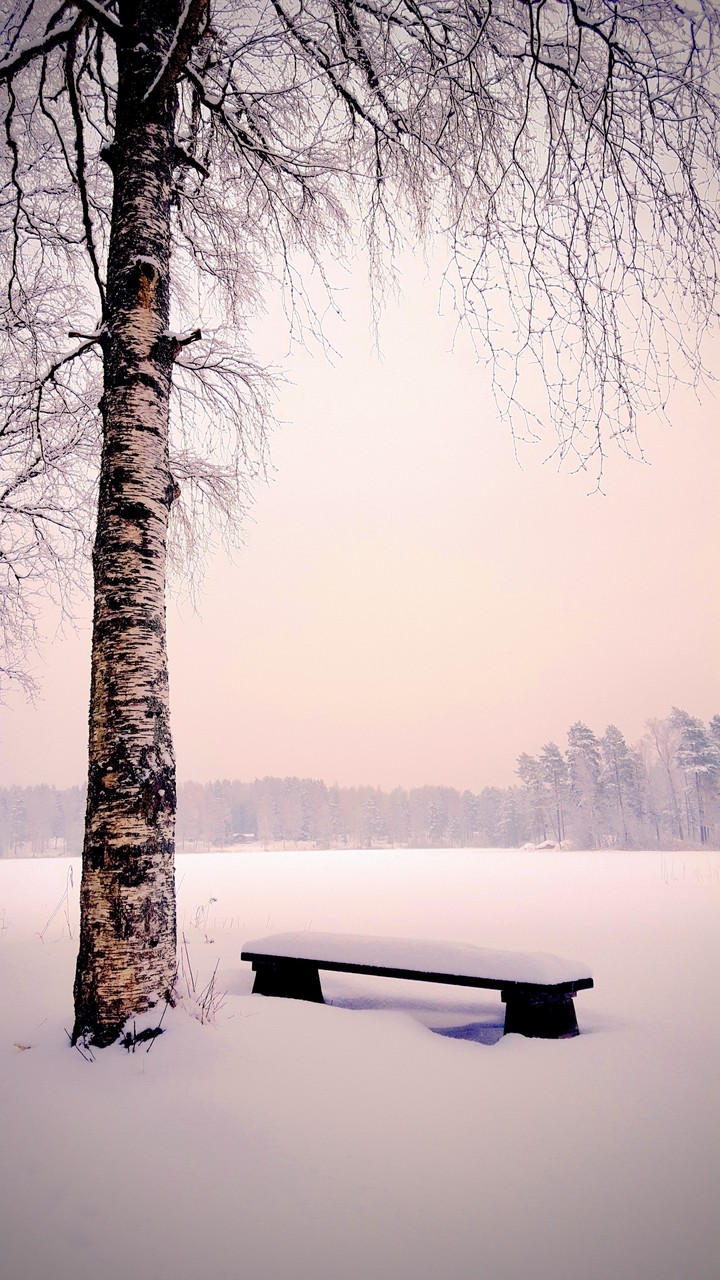 Solitude