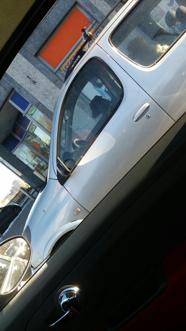 un cane alla guida!!