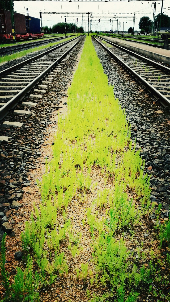 green