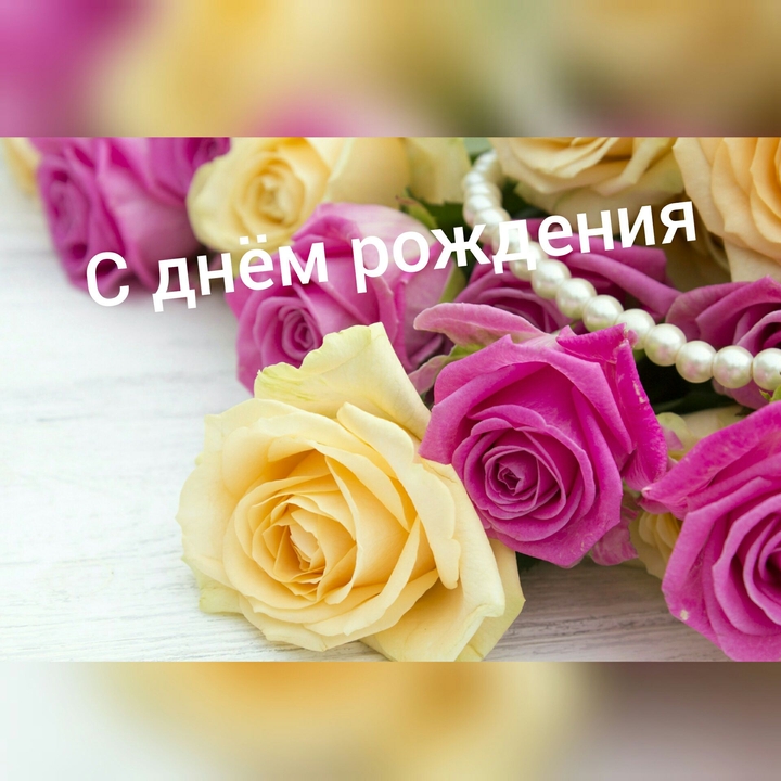 Поздравления