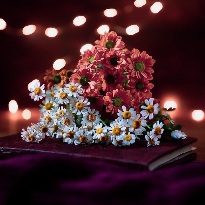 bouquet